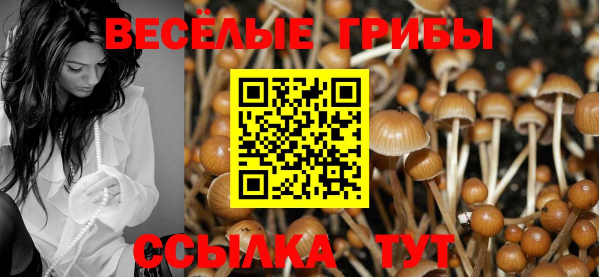 Галлюциногенные грибы прущие грибы Кудрово