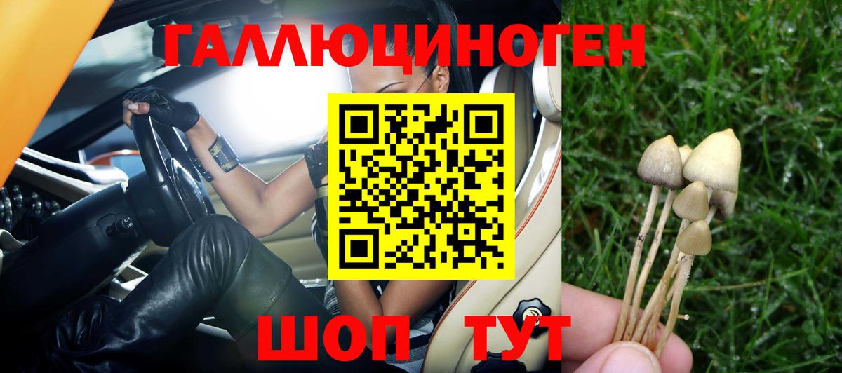 Галлюциногенные грибы прущие грибы  Галлюциногенные грибы MAGIC MUSHROOMS  Вход с VPN  Кудрово 